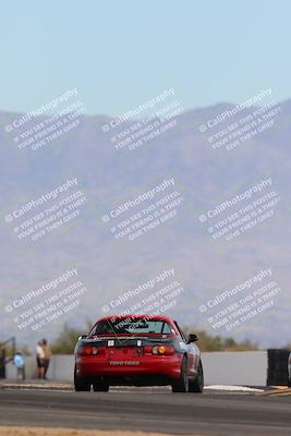 media/Feb-17-2024-Nasa AZ (Sat) [[ca3372609e]]/4-Race Group A/Session 2 Qualify (Turn 16)/